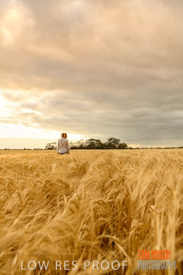 November 2019 / VITERRA_191112-8076