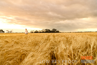 November 2019 / VITERRA_191112-8091