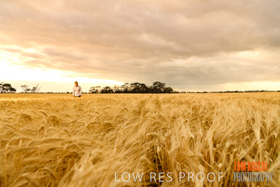 November 2019 / VITERRA_191112-8092