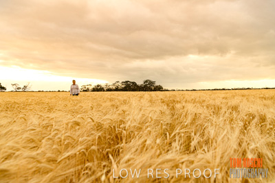 November 2019 / VITERRA_191112-8099