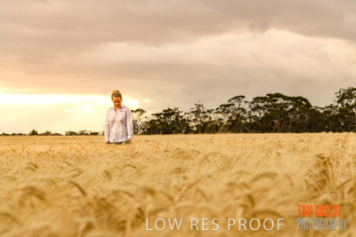 November 2019 / VITERRA_191112-8109