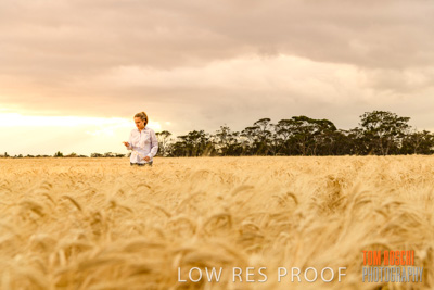 November 2019 / VITERRA_191112-8114