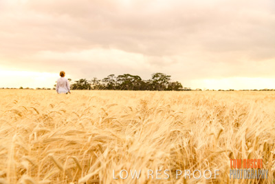 November 2019 / VITERRA_191112-8124