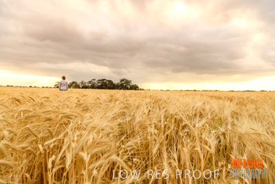 November 2019 / VITERRA_191112-8128