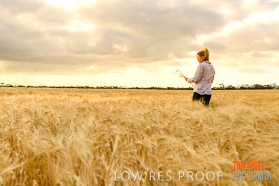 November 2019 / VITERRA_191112-8140