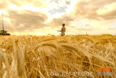 November 2019 / VITERRA_191112-8165