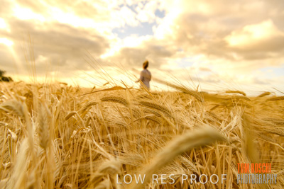 November 2019 / VITERRA_191112-8166