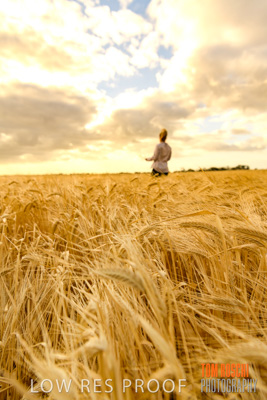 November 2019 / VITERRA_191112-8167