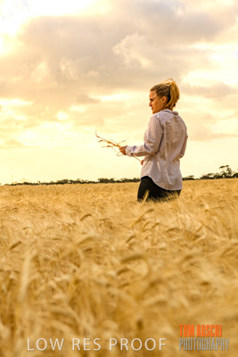 November 2019 / VITERRA_191112-8171