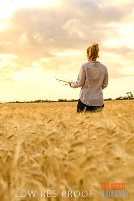 November 2019 / VITERRA_191112-8173