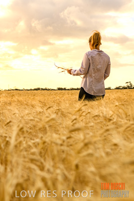 November 2019 / VITERRA_191112-8174