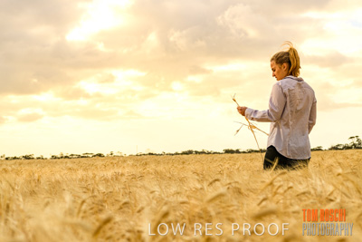 November 2019 / VITERRA_191112-8176