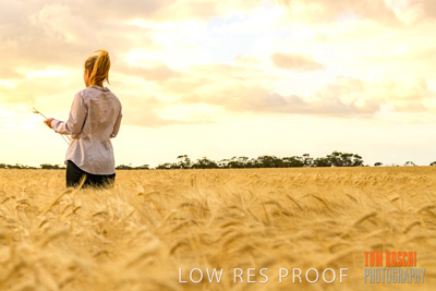 November 2019 / VITERRA_191112-8177