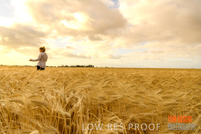 November 2019 / VITERRA_191112-8185