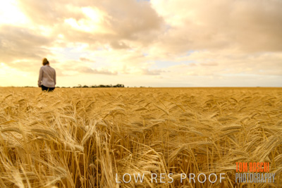 November 2019 / VITERRA_191112-8190