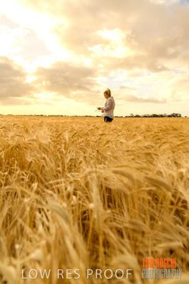 November 2019 / VITERRA_191112-8200