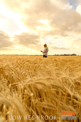 November 2019 / VITERRA_191112-8202