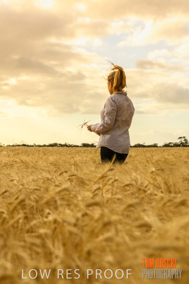 November 2019 / VITERRA_191112-8203