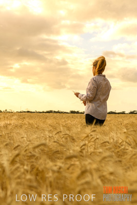 November 2019 / VITERRA_191112-8205