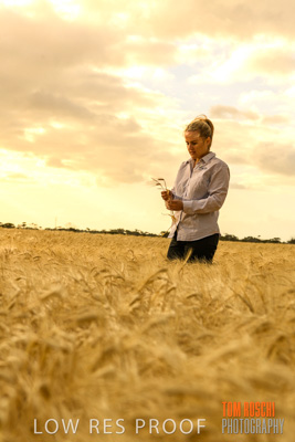 November 2019 / VITERRA_191112-8208