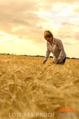 November 2019 / VITERRA_191112-8209