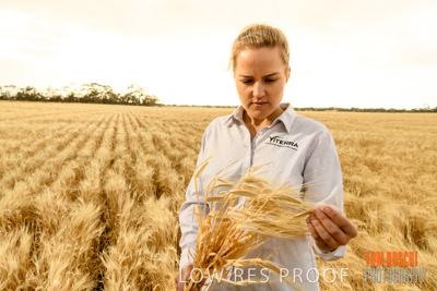 November 2019 / VITERRA_191112-8253