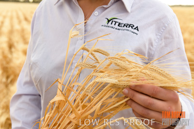 November 2019 / VITERRA_191112-8261