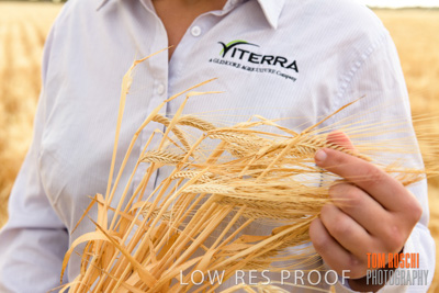 November 2019 / VITERRA_191112-8262