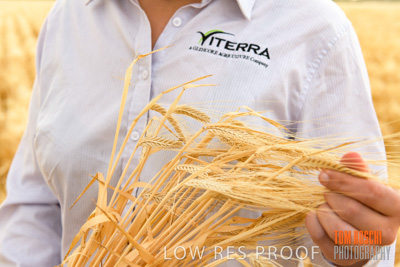 November 2019 / VITERRA_191112-8263