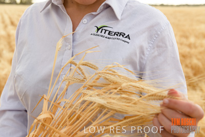 November 2019 / VITERRA_191112-8264