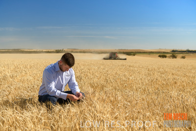 December 2019 / BARLEY_HARVEST_GERANIUM_191210_001