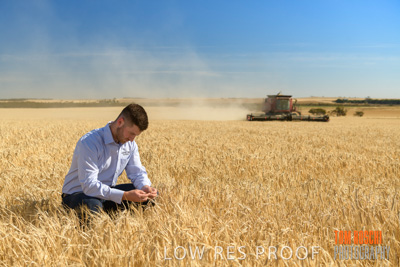 December 2019 / BARLEY_HARVEST_GERANIUM_191210_002