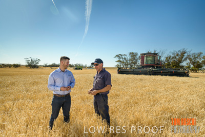 December 2019 / BARLEY_HARVEST_GERANIUM_191210_011
