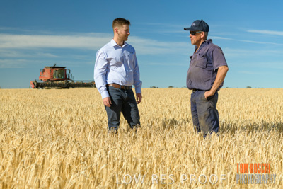 December 2019 / BARLEY_HARVEST_GERANIUM_191210_013