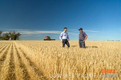 December 2019 / BARLEY_HARVEST_GERANIUM_191210_014