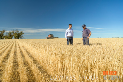 December 2019 / BARLEY_HARVEST_GERANIUM_191210_015