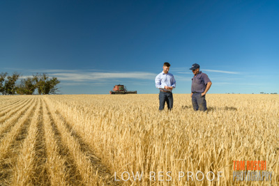 December 2019 / BARLEY_HARVEST_GERANIUM_191210_016