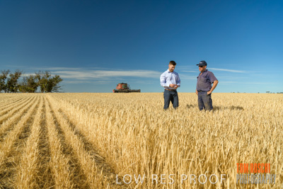 December 2019 / BARLEY_HARVEST_GERANIUM_191210_017