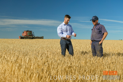 December 2019 / BARLEY_HARVEST_GERANIUM_191210_019