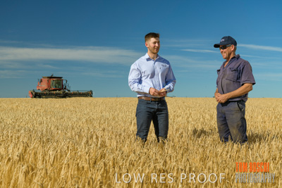 December 2019 / BARLEY_HARVEST_GERANIUM_191210_020