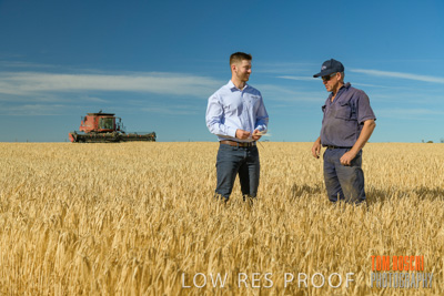 December 2019 / BARLEY_HARVEST_GERANIUM_191210_021