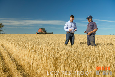 December 2019 / BARLEY_HARVEST_GERANIUM_191210_022