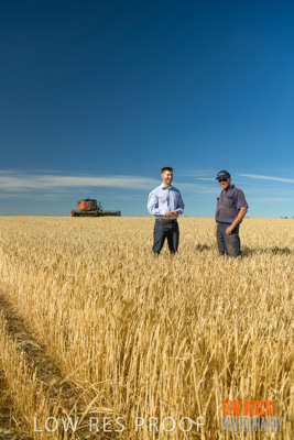 December 2019 / BARLEY_HARVEST_GERANIUM_191210_024