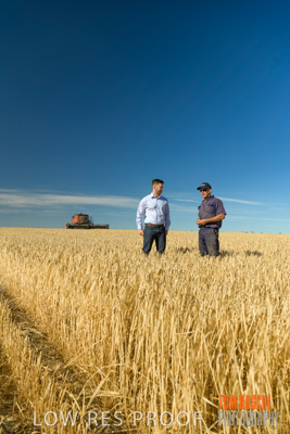 December 2019 / BARLEY_HARVEST_GERANIUM_191210_026