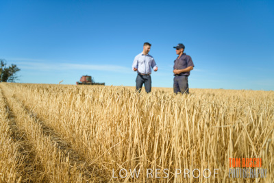 December 2019 / BARLEY_HARVEST_GERANIUM_191210_027