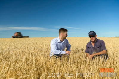December 2019 / BARLEY_HARVEST_GERANIUM_191210_033