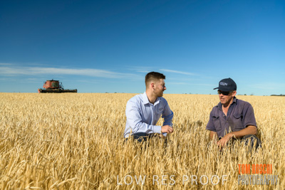 December 2019 / BARLEY_HARVEST_GERANIUM_191210_034