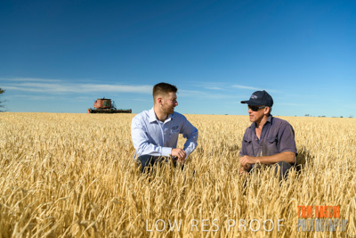December 2019 / BARLEY_HARVEST_GERANIUM_191210_035
