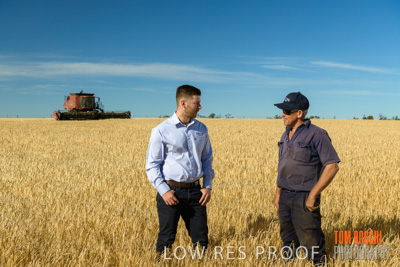 December 2019 / BARLEY_HARVEST_GERANIUM_191210_037
