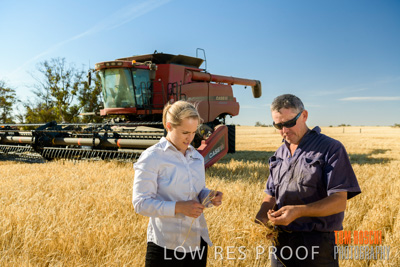 December 2019 / BARLEY_HARVEST_GERANIUM_191210_048